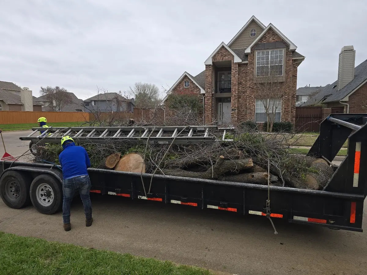 Expert Tree Fertilization with proper safety equipment in Whitesville